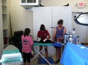 Dr. Johnson's kids and Dr. Schroeder's wife are put to work helping with the clinic. 